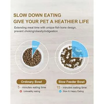 DDMOMMY Ceramic Pet Feeder, Slow Feed for Cats & Dogs