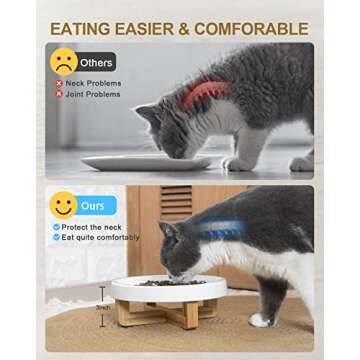 DDMOMMY Ceramic Pet Feeder, Slow Feed for Cats & Dogs