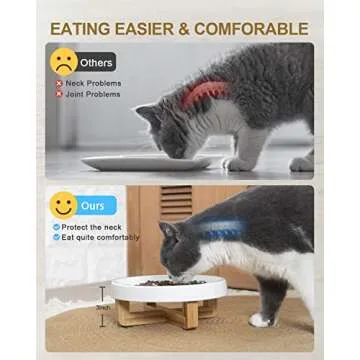 DDMOMMY Ceramic Pet Feeder, Slow Feed for Cats & Dogs