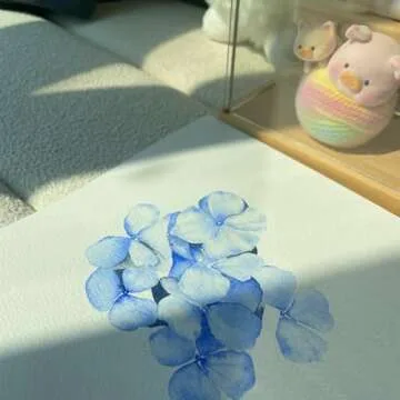 PHOENIX Artist Grade Watercolor Paint Set 12 Colors Half Pans