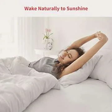 Automate Your Curtains with SwitchBot Electric Motor