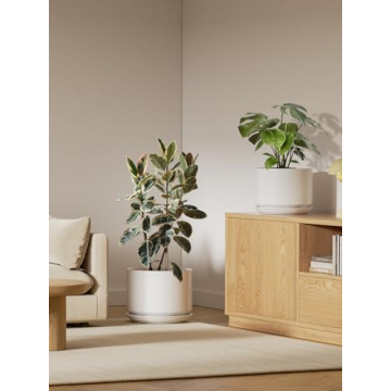 Shop LE TAUCI 12 Inch Magic Planter for Indoor Plants