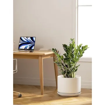 Shop LE TAUCI 12 Inch Magic Planter for Indoor Plants