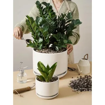 Shop LE TAUCI 12 Inch Magic Planter for Indoor Plants