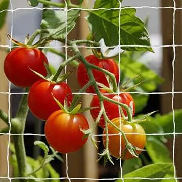 Tcamp Heavy-Duty Polyester Garden Trellis Netting Plant Climbing Net for Growing Vines Plants Vegetables Fruits Flowers, White Grow Tent (4.9Ft x15Ft, 3.5" Opening Mesh, 1 Pack Plant Net)