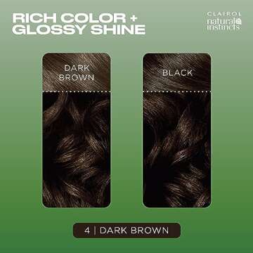 Clairol Natural Instincts Demi-Permanent Hair Dye 4 Dark Brown