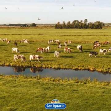 San Ignacio Dulce de Leche - Authentic Argentine Flavor