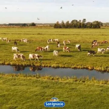 San Ignacio Dulce de Leche - Authentic Argentine Flavor