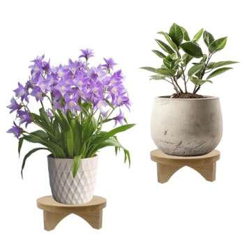 Oedema 6 Inch Solid Wood Plant Stand for Home & Office