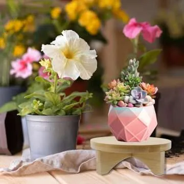 Oedema 6 Inch Solid Wood Plant Stand for Home & Office