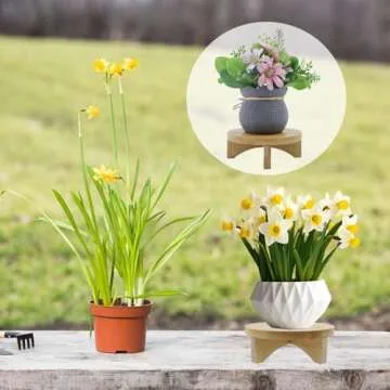 Oedema 6 Inch Solid Wood Plant Stand for Home & Office