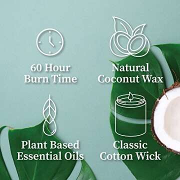 Hemlock Park Classic Wick Candle - Eco-Friendly Aroma