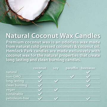 Hemlock Park Classic Wick Candle - Eco-Friendly Aroma