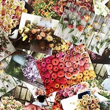 Floret Farm Flower Postcards for Sending Beauty