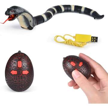 RC Snake Toy Fun