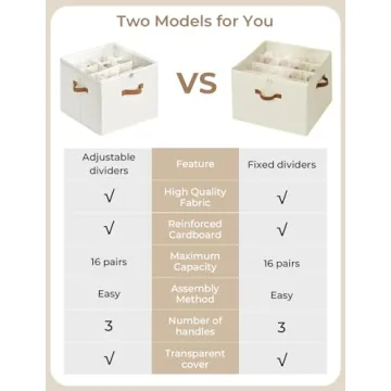 StorageWorks Shoe Organizer - Elegant & Functional Storage Bin