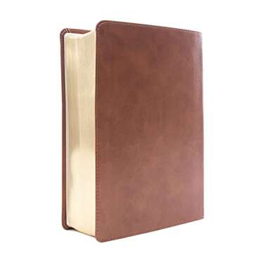 CSB He Reads Truth Bible, Saddle LeatherTouch, Journaling