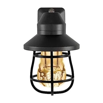 GE Vintage LED Night Light with Dusk to Dawn Sensor