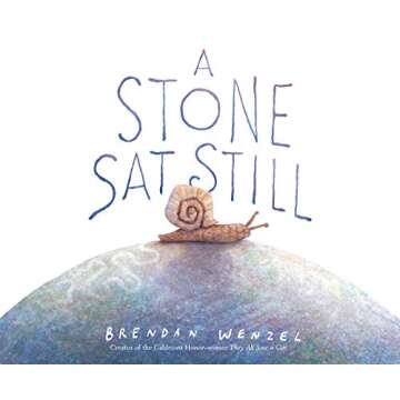 A Stone Sat Still: (Environmental and Nature Picture Book for Kids, Perspective Book for Preschool a...