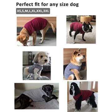 Stylish WEONE Dog Summer T-Shirts for All Breeds