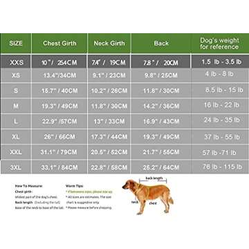 Stylish WEONE Dog Summer T-Shirts for All Breeds