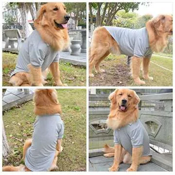 lovelonglong Premium Dog Polo Shirts for All Sizes and Styles