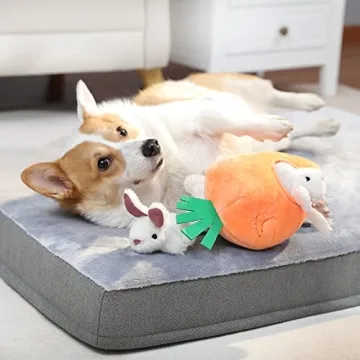 Amazon Basics 5 Pack Squeaky Plush Dog Toy Set