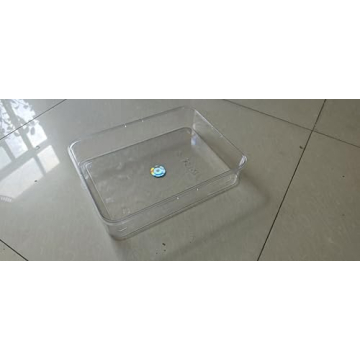 Portable Divided Serving Tray - Ideal for Snack Platters