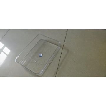 Portable Divided Serving Tray - Ideal for Snack Platters