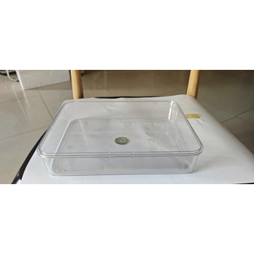 Portable Divided Serving Tray - Ideal for Snack Platters