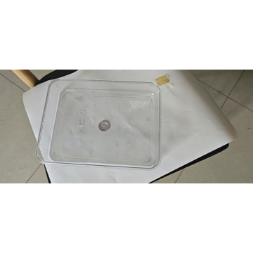 Portable Divided Serving Tray - Ideal for Snack Platters