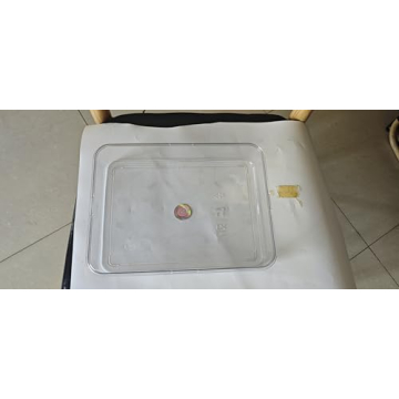 Portable Divided Serving Tray - Ideal for Snack Platters