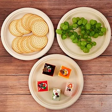 Vplus Compostable Paper Plates - Eco-Friendly and Sturdy