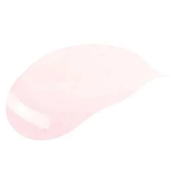 Ruby Kisses Menthol Lip Salvation Clear Lip Gloss (MLG02 - Tinted)