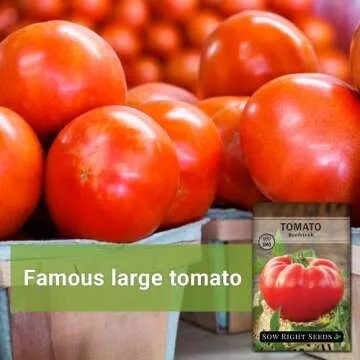 Beefsteak Tomato Seeds - Non-GMO Heirloom for Home Gardening
