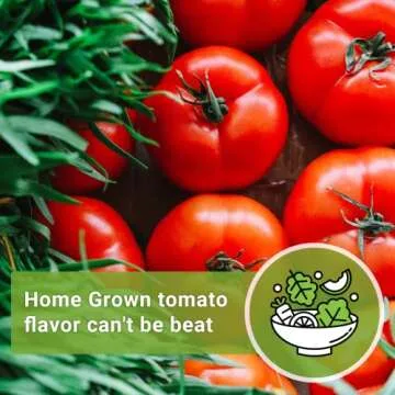 Beefsteak Tomato Seeds - Non-GMO Heirloom for Home Gardening