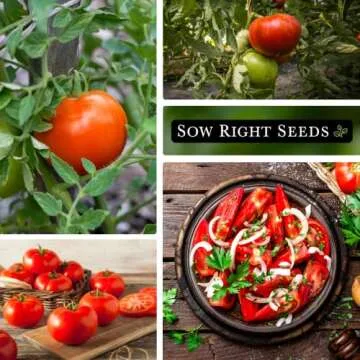 Beefsteak Tomato Seeds - Non-GMO Heirloom for Home Gardening