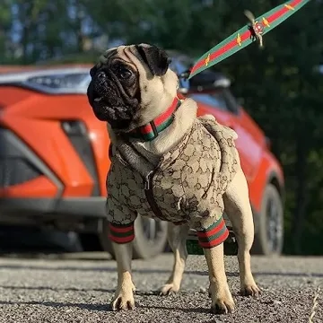 HQREA Dog Hoodie Luxury Dog Clothes Winter Dog Jacket Classic Designer Small Dog Coats Warm Pet Dog Coat Zipper Design Easy On/Off French Bulldog Teddy Pug Puppy Clothes(S)