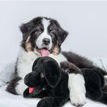 LotFancy Dog Stuffed Animal, 21 inch Black Lab Plush Dog, Realistic Stuffed Dog, Puppy Plush Toy for Kids
