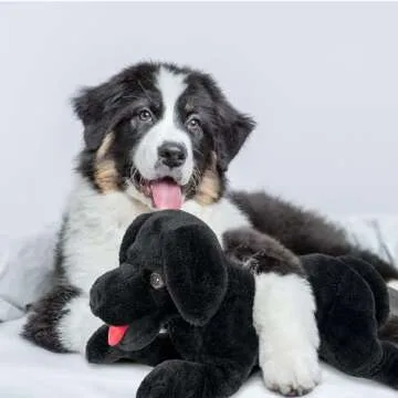 LotFancy Dog Stuffed Animal, 21 inch Black Lab Plush Dog, Realistic Stuffed Dog, Puppy Plush Toy for Kids