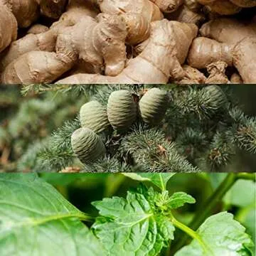 Calvin Klein Euphoria Eau de Toilette – Chypre Men's Cologne – With Notes of Ginger, Black Basil, Patchouli & Amber – Luxury Perfumes for Men – Long Lasting Fragrance