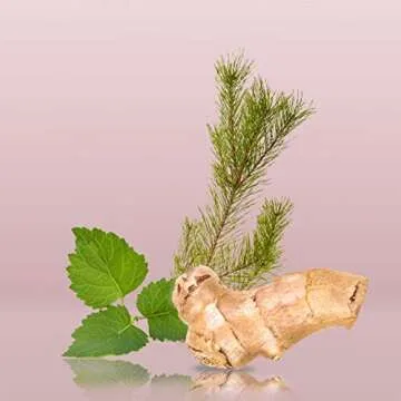 Calvin Klein Euphoria Eau de Toilette – Chypre Men's Cologne – With Notes of Ginger, Black Basil, Patchouli & Amber – Luxury Perfumes for Men – Long Lasting Fragrance