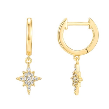 PAVOI 14K Gold Star Huggie Earrings - Stylish & Sustainable