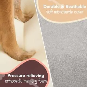 Friends Forever X-Large Dog Bed, Orthopedic Dog Sofa Memory Foam Mattress, Calming Dog Couch Bed, Wall Rim Pillow, Water Resistant Liner, Washable Cover, Non-Slip Bottom, Chester, X-Large Grey