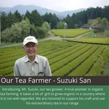 Ocha & Co. Organic Sencha - Mild & Refreshing Green Tea