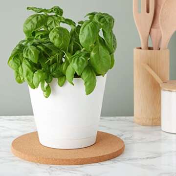 4 Pack Cork Trivets for Hot Dishes - Stylish Protection