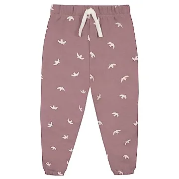 Cozy Gerber Fleece Toddler 2-Piece Set for Girls