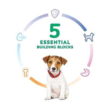 Hill's Science Diet Puppy Food, Small Bites, Chicken Flavor