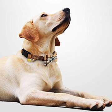 KUDES 2 Pack/Set Dog Collars with Bow Tie and Bells, Adjustable Cute Dog Bow Ties Collar for Small/M...