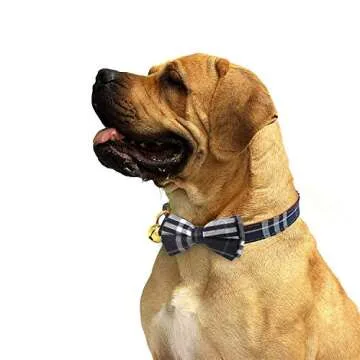 KUDES 2 Pack/Set Dog Collars with Bow Tie and Bells, Adjustable Cute Dog Bow Ties Collar for Small/Medium/Large Boys and Girls Pets (Black+Brown, M(11.8''-17.8''))